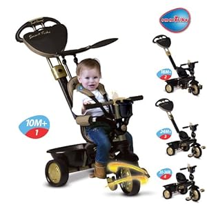 comment monter smart trike