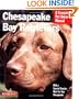 Chesapeake Bay Retrievers (Barron's Complete Pet Owner's Manuals)