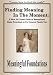 Finding Meaning In The Moment:  A "How To" Visual Guide to Homeschool or Home Preschool