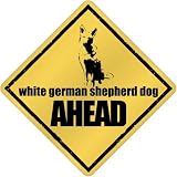 New White German Shepherd Dog Bites Ahead ! Crossing Dog