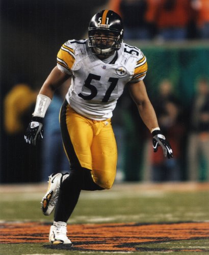JAMES FARRIOR PITTSBURGH STEELERS 8X10 SPORTS ACTION PHOTO (H)