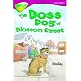 Oxford Reading Tree: Stage 10: TreeTops Stories: Boss Dog of Blossom Street
