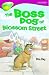 Books : Oxford Reading Tree: Stage 10: TreeTops Stories: Boss Dog of Blossom Street