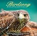 Birdsong (Birds of Prey and Crows)