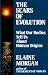 Image: Shopper's Delight: Animal Ecology in The Books Store ~ The Scars Of Evolution