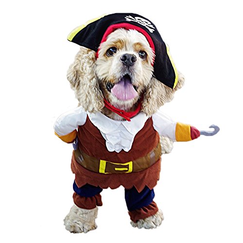 REXSONN Caribbean Pirate Pet dog Costume, so cool so fashion