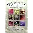 Florida's Seashells