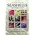Florida's Seashells: A Beachcomber's Guide