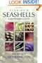 Florida's Seashells
