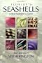 Florida's Seashells: A Beachcomber's Guide