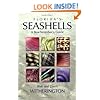 Florida's Seashells: A Beachcomber's Guide