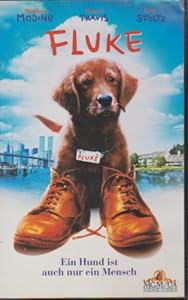 Fluke Ein Hund Räumt Auf