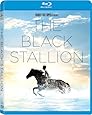 Black Stallion, The [Blu-ray]