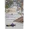 See Hurricane Katrina Through Animal Eyes
