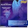 Sinfonia for Strings in G minor: I. Allegro -