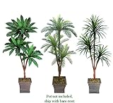 IMAGE OF Three 6' Triple Head Artificial Trees: Yucca + Cycas + Bird Nest, with No Pot,
