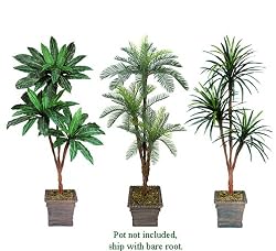 Three 6' Triple Head Artificial Trees: Yucca + Cycas + Bird Nest