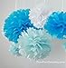Orino8482; Pom Poms - 5pcs 2 Sizes Tissue Paper Flowers, Tissue Paper Pom Poms, Wedding Decor, Party Decor, Pom Pom Flowers, Tissue Paper, Tissue Paper Flowers Kit, Pom Poms Craft, Wedding Pom Poms, Pom Poms Decoration (Blue&Light Blue)