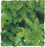 Zoo Med Naturalistic Bush Plant Congo Ivy, Large