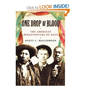 One Drop Blood American Misadventure