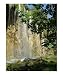 Plitvice National Park, Croatia Places Photographic Poster Print by Linda Waltenberger, 20x24
