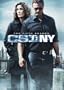 CSI: NY - The Fifth Season