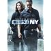 CSI NY: The Complete Fifth Season