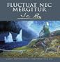 Fluctuat Nec Mergitur