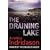 The Draining Lake