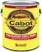 CABOT SAMUEL INC 8022-08 PROBLEM-SOLVER ACRYLIC EXTERIOR PRIMER 5 GALLON