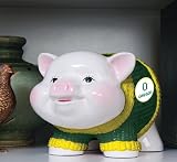 University of Oregon Ducks Piggy Bank