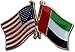 Flagline United Arab Emirates - Friendship Lapel Pin