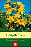 Heilpflanzen: Erkennen, sammeln, anwenden - Elfrune Wendelberger