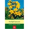 Heilpflanzen: Erkennen, sammeln, anwenden