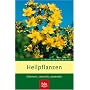 Heilpflanzen: Erkennen, sammeln, anwenden