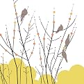 Sowash Morning Doves I Canvas Giclee(16 x 16")