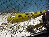 St.Clair Bait Co. Musky Minnow - Crackle Frog - Muskie Lure