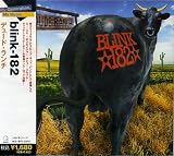 Dude Ranch
