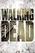 The Walking Dead - Zombie Poster, 24x36