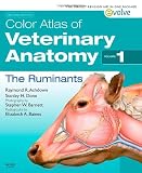 Color Atlas of Veterinary Anatomy: The Ruminants v. 1
