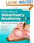 Color Atlas of Veterinary Anatomy, Volume 1, The Ruminants, 2e