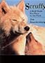 Scruffy: A Wolf Finds His Place in the Pack