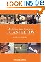 Medicine and Surgery of Camelids