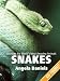 Snakes - Beautiful Photos and Fun Snake Facts for Kids (Discover the World's Most Amazing Animals Series)
