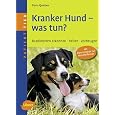 Kranker Hund - was tun?: Krankheiten erkennen, heilen, vorbeugen