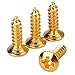 BQLZR Golden Guitar Bass Pickguard Screw For Electric Guitar Pack of 50