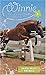 Bold Beauty (Winnie the Horse Gentler #3)
