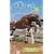 Bold Beauty (Winnie the Horse Gentler #3)
