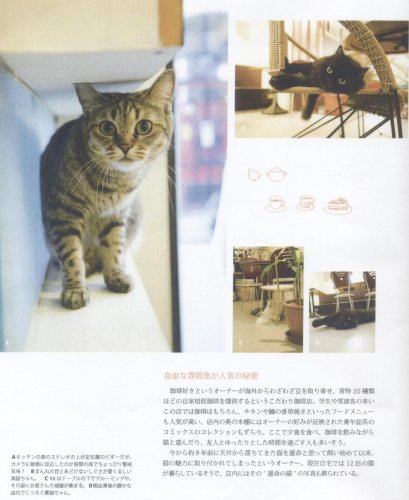 Cover image : 猫カフェ