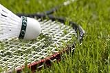 Rained off Court - 24
